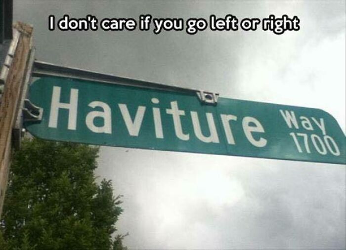 A street sign for Haviture Way, a humorous pun about having it your way, one of the dumb puns.