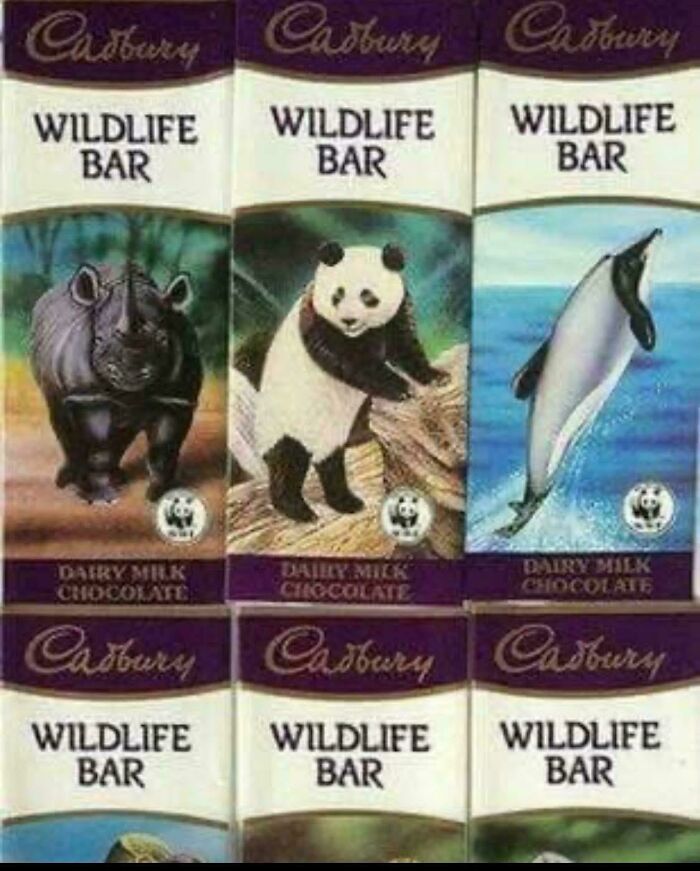 Three Cadbury Wildlife Bars featuring a rhino, panda, and dolphin, recalling good memories of life in the 80s.