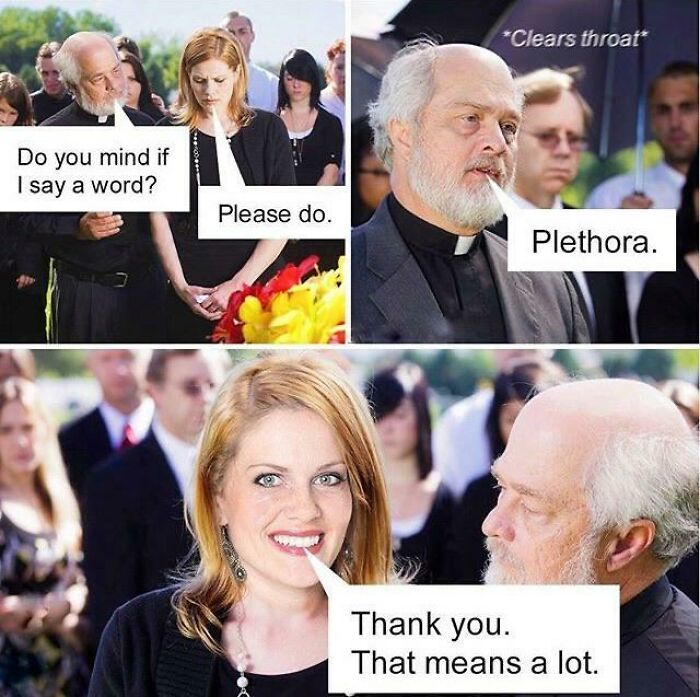 A funeral dumb pun meme where a priest says the word 'plethora', which is appreciated by a woman.