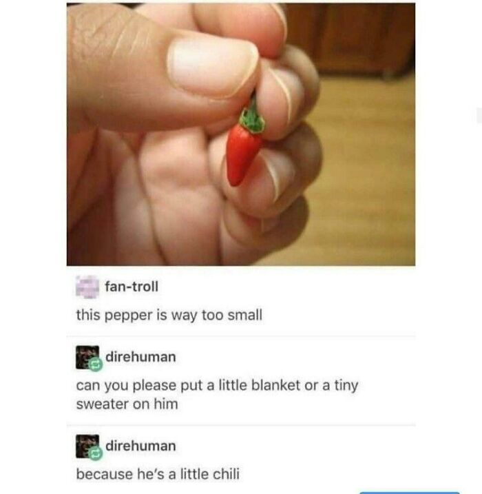 A dumb pun image of a tiny chili pepper with a caption that says 'he's a little chili'.