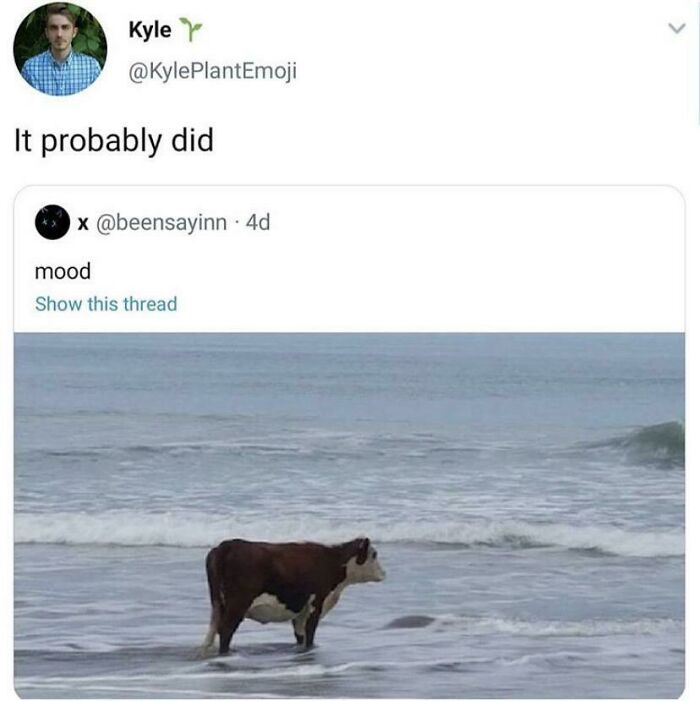 A dumb pun meme of a cow in the ocean, with the text 'It probably did'.