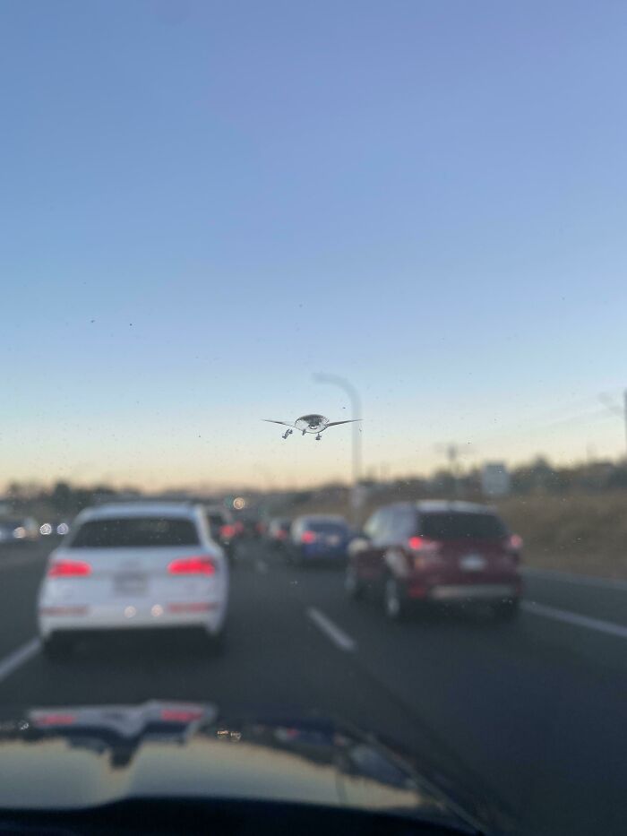 Crack on a car windshield resembling a bird in flight