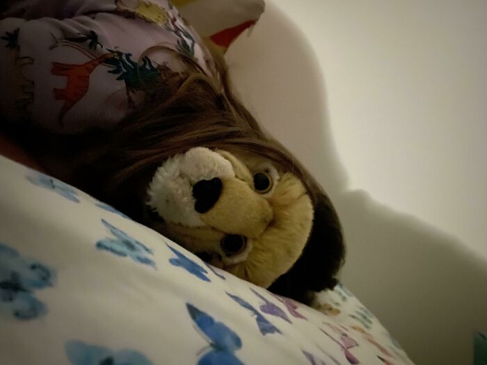 A stuffed lion toy peeking out from under a blanket, an image you may need to look twice at to understand.