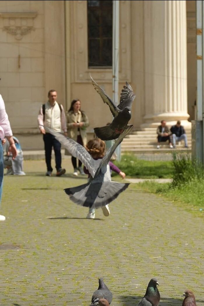A small child in a park runs towards flying pigeons, creating a dynamic photo you may need to look twice at.