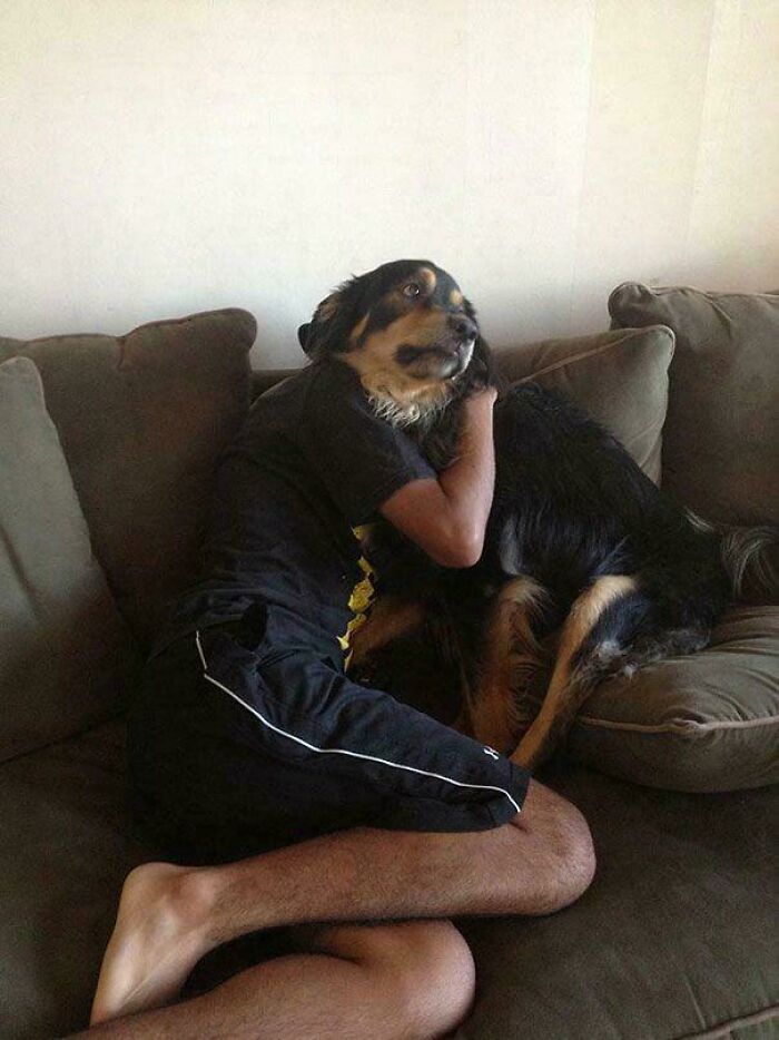 A man with a dog's head, an optical illusion where a dog sits on a man's lap, needing a second look.
