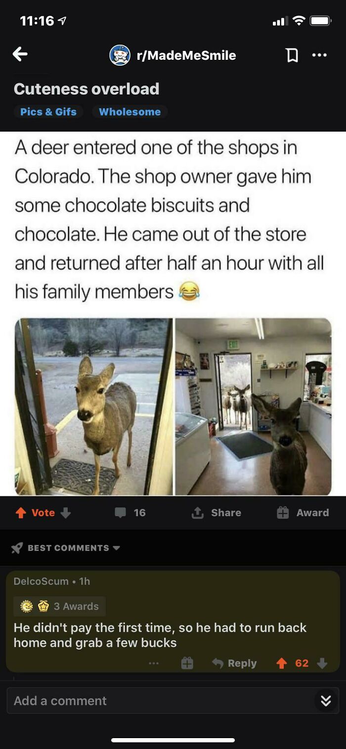 A funny example from the comments section about a deer in a shop. This is a funny example.