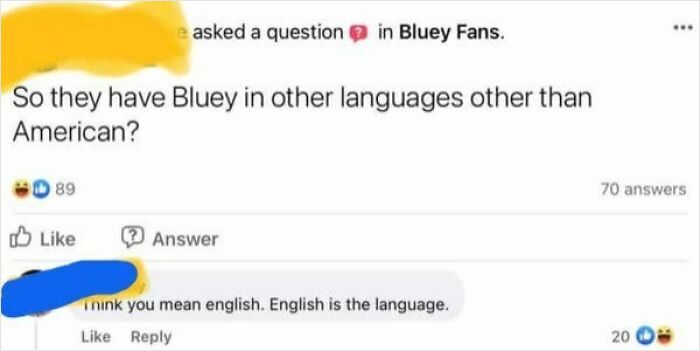 A screenshot showing confused Americans asking if Bluey is available in languages other than American.