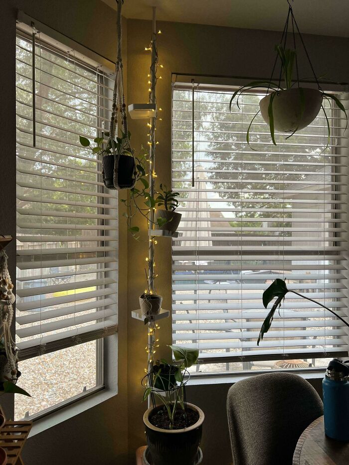 A vertical plant display with fairy lights in a corner, showing creativity in decorating with plants and minimizing junk.