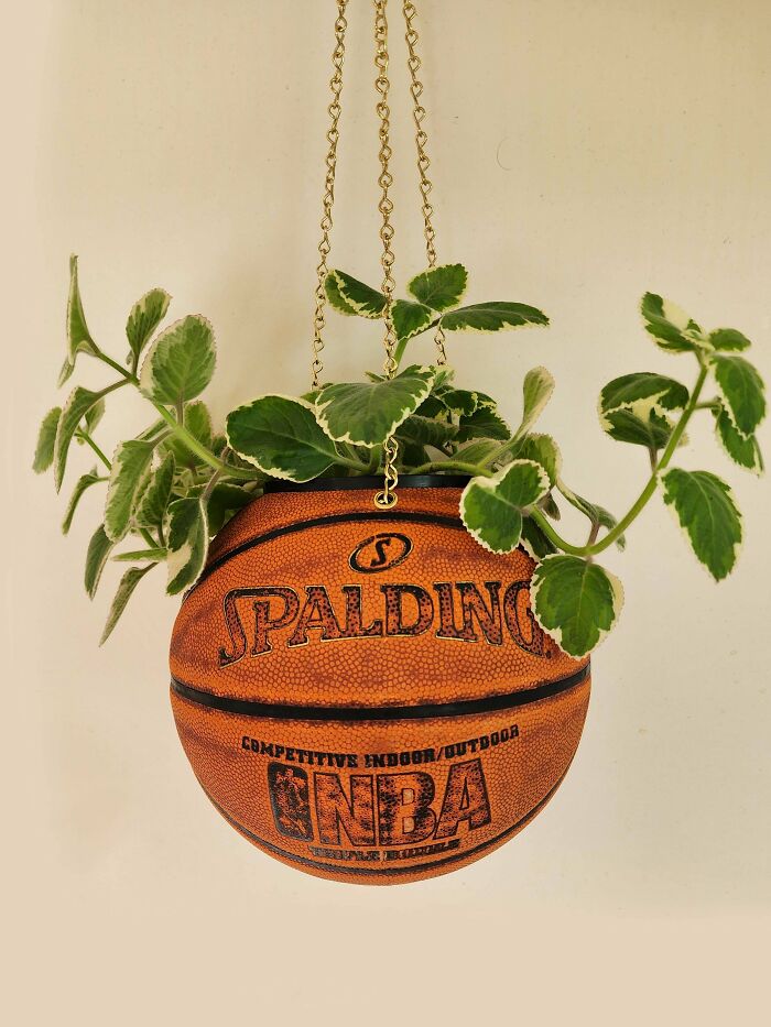 A plant in an old junk basketball hanging planter, displaying creativity.