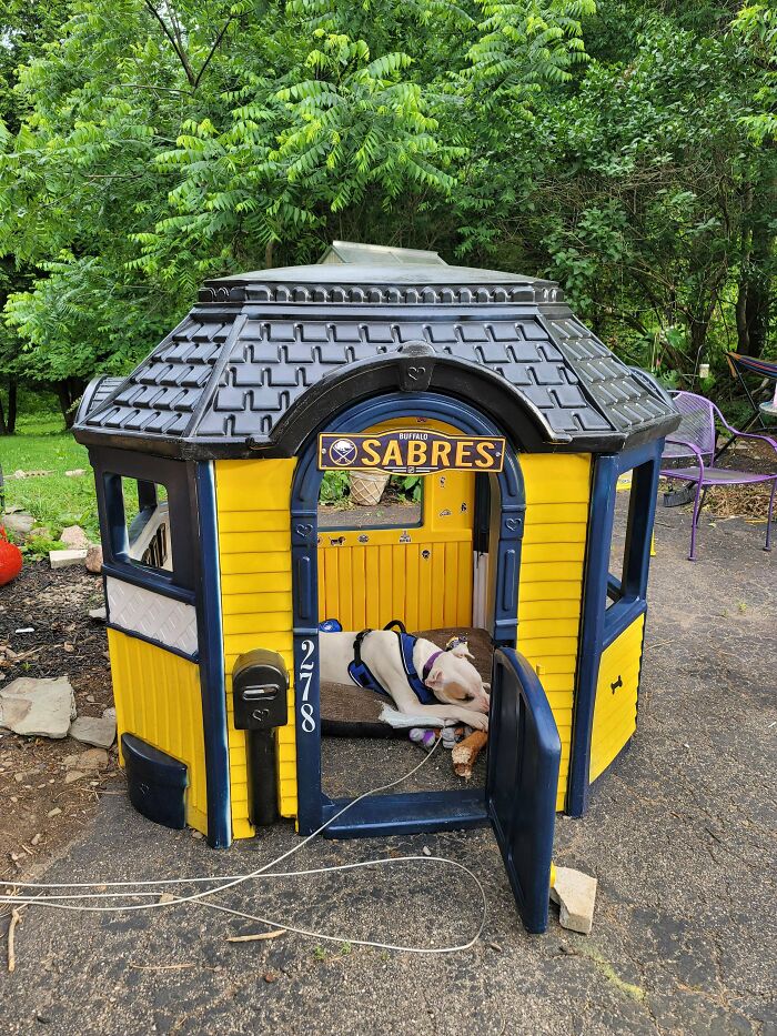 Dog resting in a colorful playhouse made from old junk, illustrating creativity for something worth keeping.