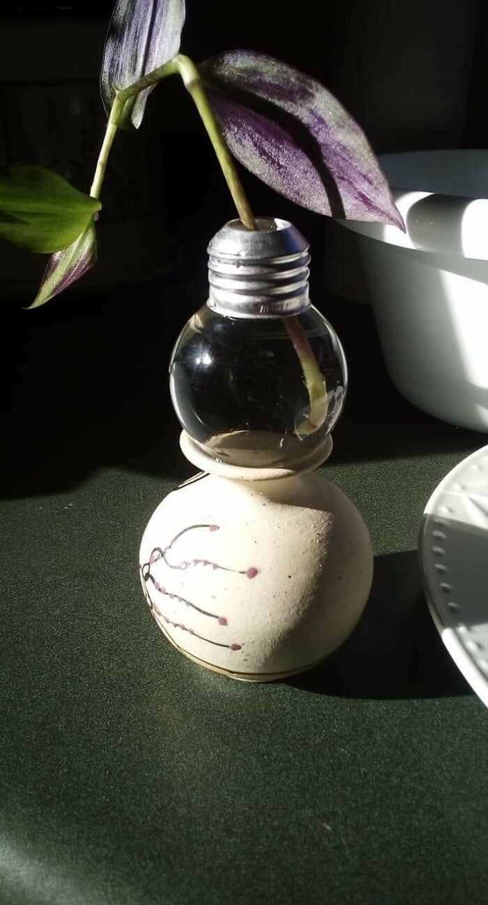 A creative craft, a plant rooted in a lightbulb, showcasing old junk transformed into something worth keeping.