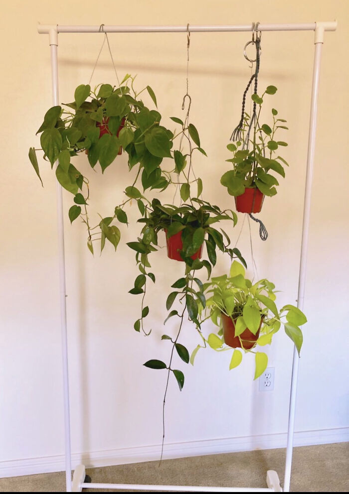 Hanging plants in red pots on a white rack, an example of creativity with old junk.