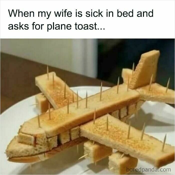 An airplane made of toast, a visual dumb pun related to incredibly dumb puns.