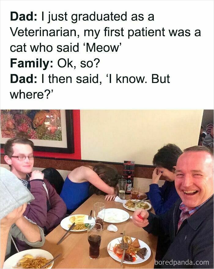 A group of people at a table, reacting to a dumb pun about a veterinarian.