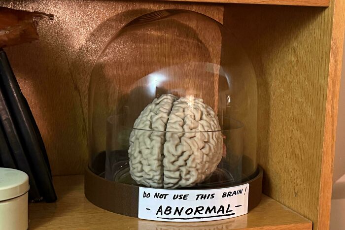 A human brain model under a glass dome with a sign saying DO NOT USE THIS BRAIN - ABNORMAL, showcasing 3D printing creations.