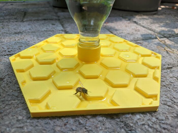 A bee on a yellow hexagonal 3D printing feeder, showcasing amazing creations for wildlife.