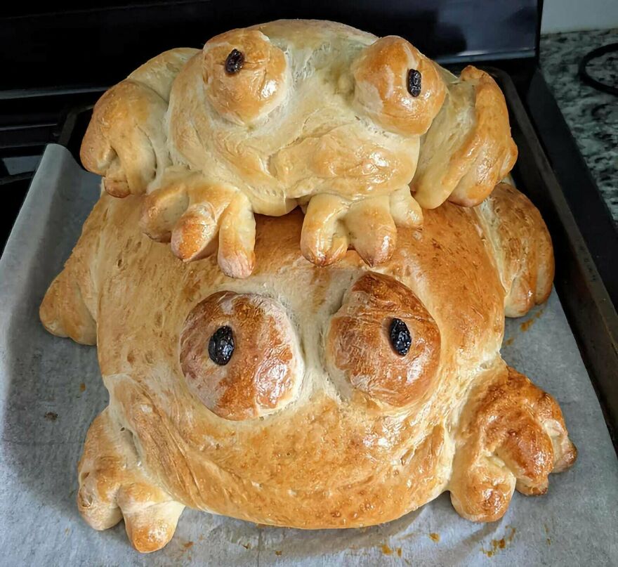 Two frog-shaped loaves of bread, a charming example of whimsical crafts shared online.