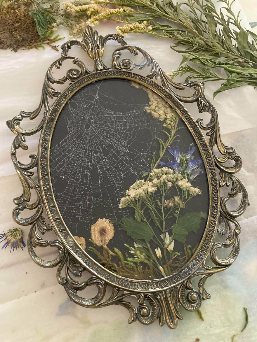 A whimsical craft featuring a spiderweb and pressed flowers in an ornate oval frame, creating a magical display.