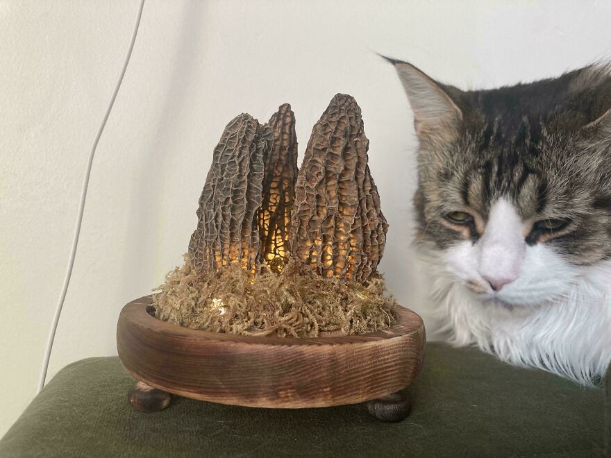 A whimsical craft of glowing mushroom-like structures with a cat observing them, creating a magical online share.