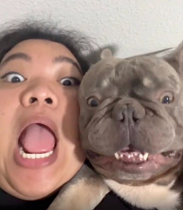 A person and a funny dog making exaggerated surprised faces at the camera, side-by-side. Cute dog pics.