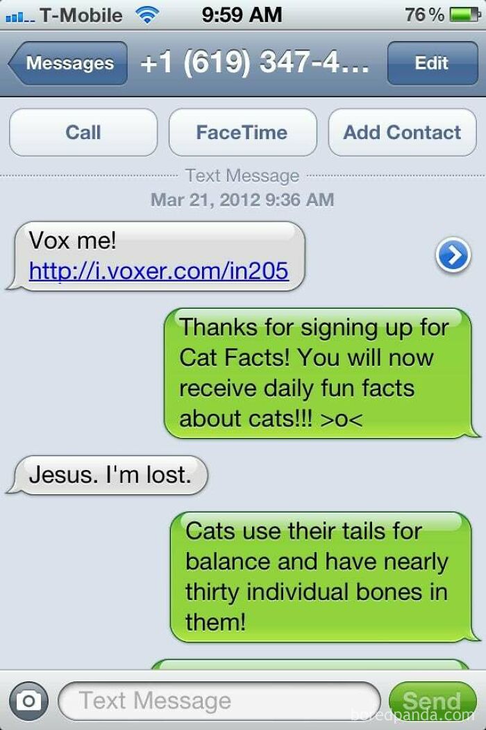 A screenshot of an iPhone text conversation showing a person accidentally subscribed to daily cat facts after a wrong number text, creating hilarious chaos.