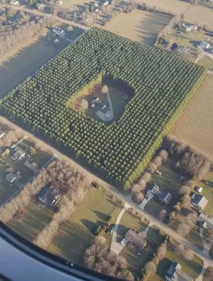 An aerial view of a house surrounded by a square formation of trees, a funny meme about unique homes.