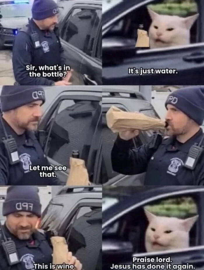 Funny meme of a cop discovering wine in a bottle held by a man and a cat's reaction, good for health.