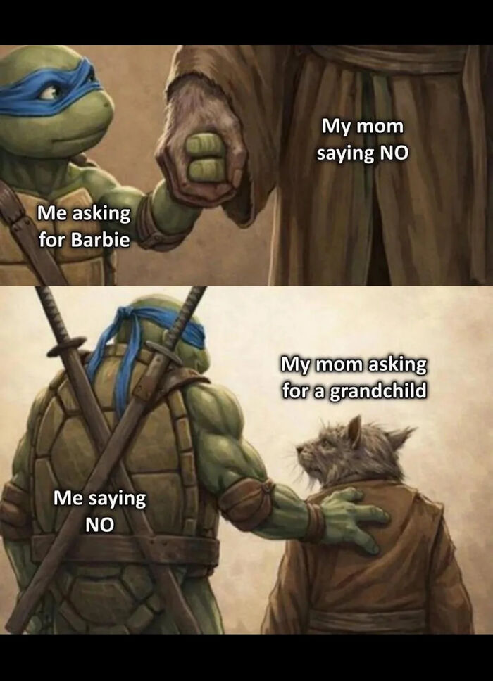 A funny meme featuring Teenage Mutant Ninja Turtles representing a mom saying NO and a child saying NO.