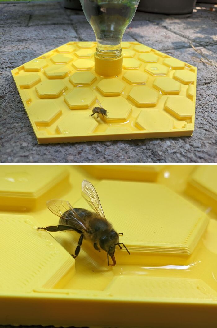 A bee drinking from a yellow, honeycomb-patterned 3D printed feeder, a cool project.