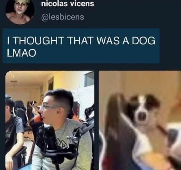 Funny memes: A person mistakes a girl's hair for a dog, generating humor.