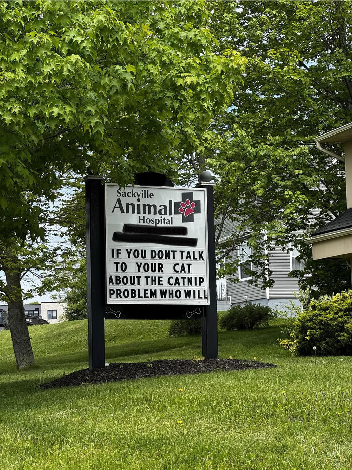 Funny meme of a Sackville Animal Hospital sign about a catnip problem, one of many funny memes.