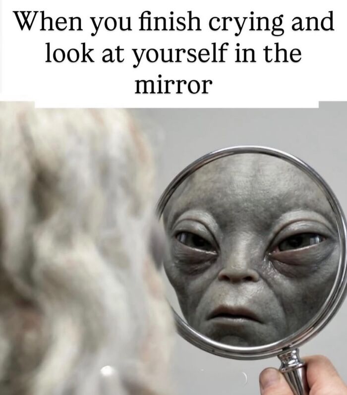 A relatable meme showing an alien reflection in a magnifying glass. The text describes looking at yourself after crying.