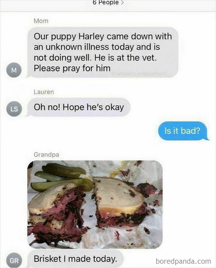 A messaging screenshot shows an old person sending a brisket photo in response to a text about a sick puppy.