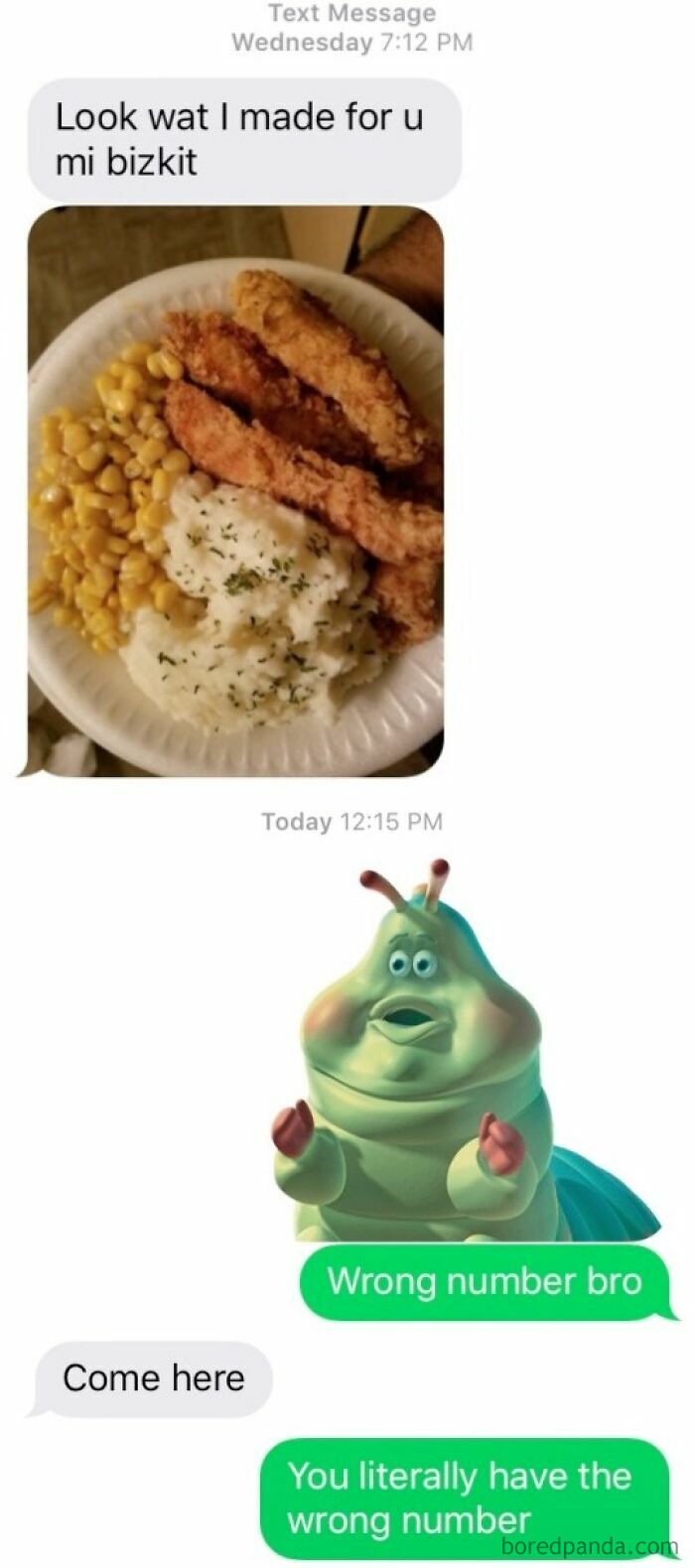 A screenshot of a hilarious wrong number text where someone sent a picture of food and received a response with a bug meme.