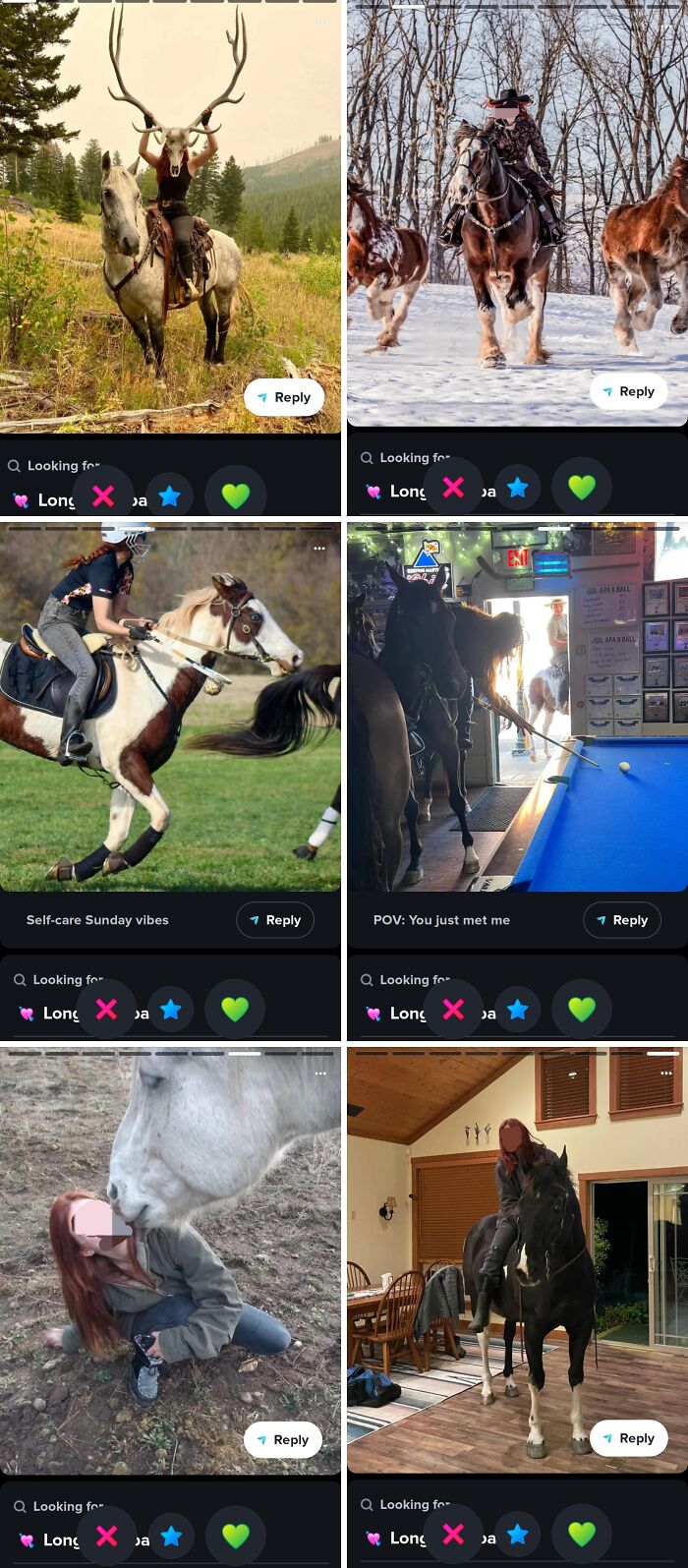 A collage of six images featuring people with horses in various settings, highlighting cringe Tinder profiles.