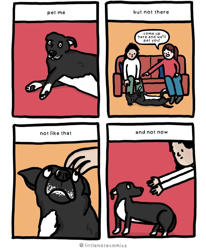 An artist illustrates relatable comics about relationship quirks, showing a dog wanting to be pet, but being picky about how and when.