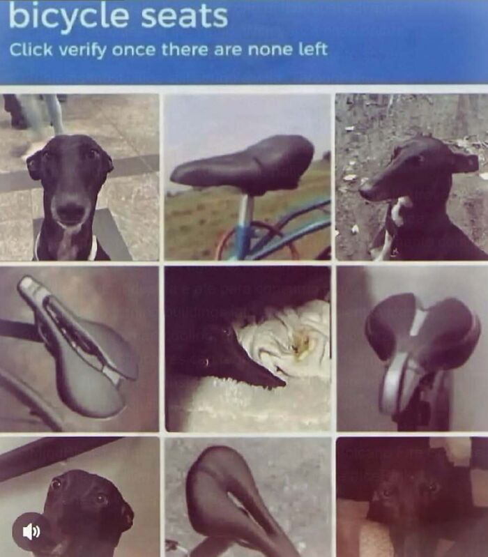 A captcha grid with bicycle seats and greyhounds, a funny post showcasing cringe humor in a verification.
