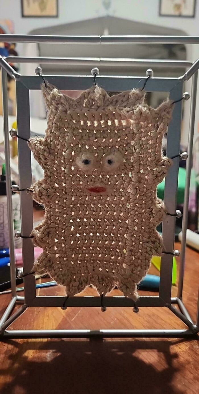 A unique crochet creation resembling a face within a metal frame, exemplifying a useful DIY project.