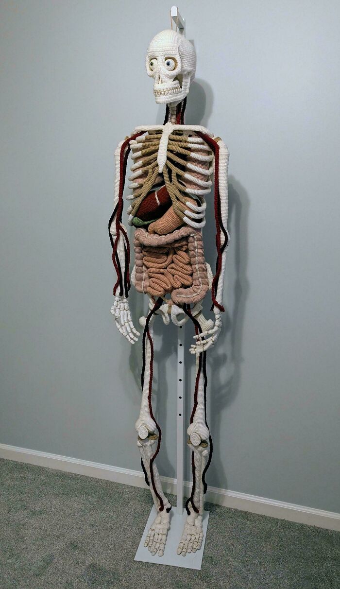 A detailed, life-size crochet human skeleton with visible organs, an amazing DIY creation for anatomical study or display.