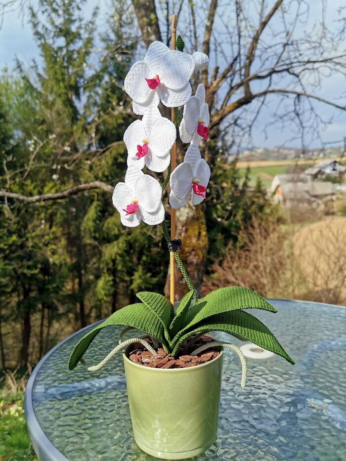 A white crochet orchid plant in a green pot, a detailed and useful DIY creation.
