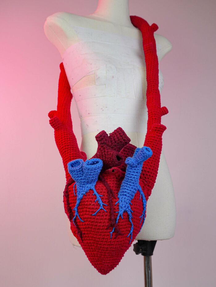 A DIY crochet anatomical heart displayed on a mannequin, featuring red heart muscle and blue vessels.