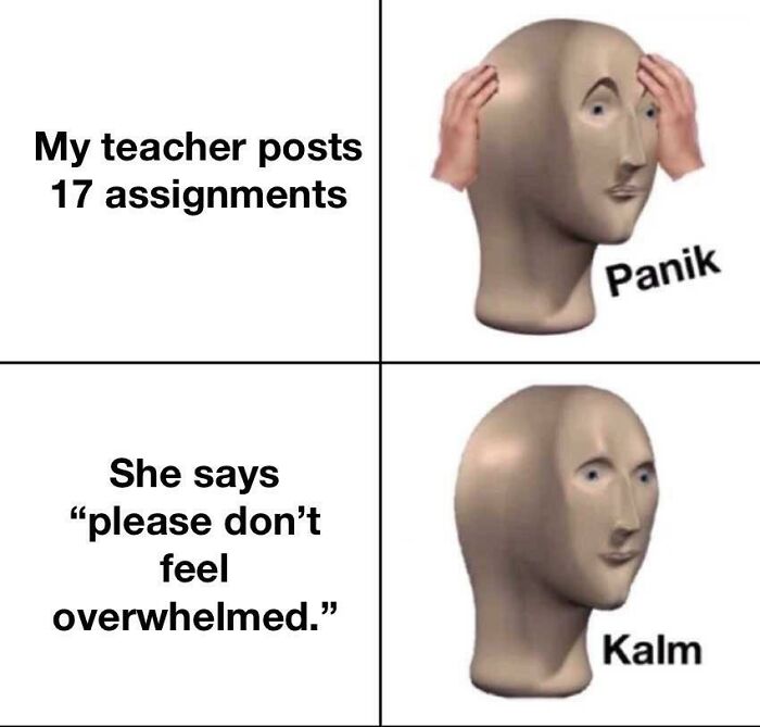 A meme with a teacher posting many assignments, a funny take on bad advice.