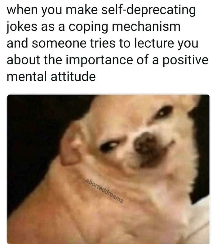 A chihuahua meme reacting to unsolicited advice on positive mental attitude, representing pieces of advice.