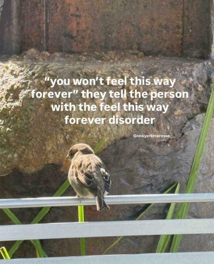 A small bird perched on a railing with text giving unhelpful advice about feelings.