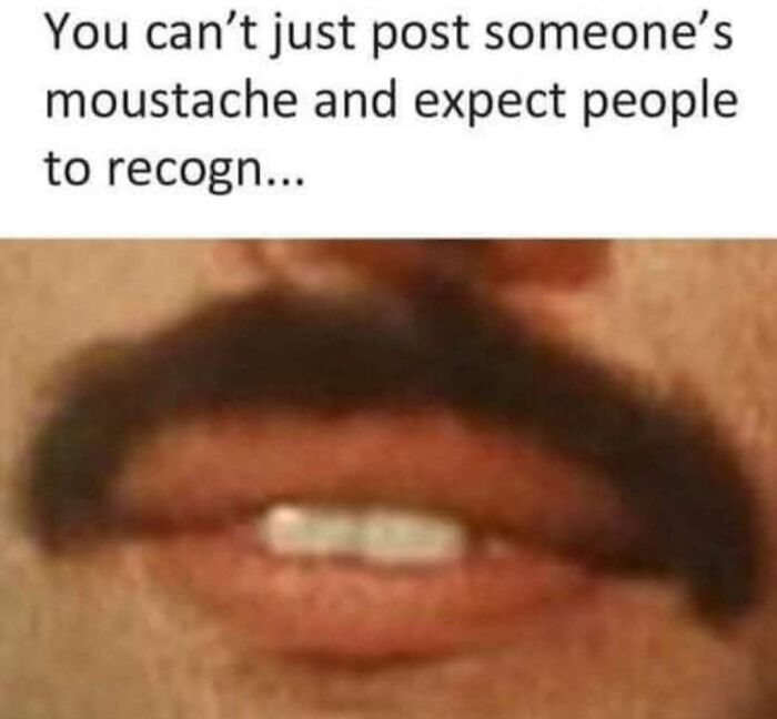 A close-up of a prominent mustache, part of a Gen X meme about recognizable features.