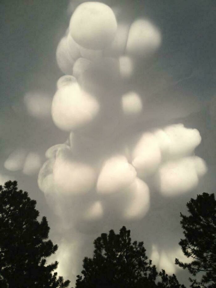Creepy images featuring unusual, bulbous clouds against a dark sky, with silhouetted treetops below.