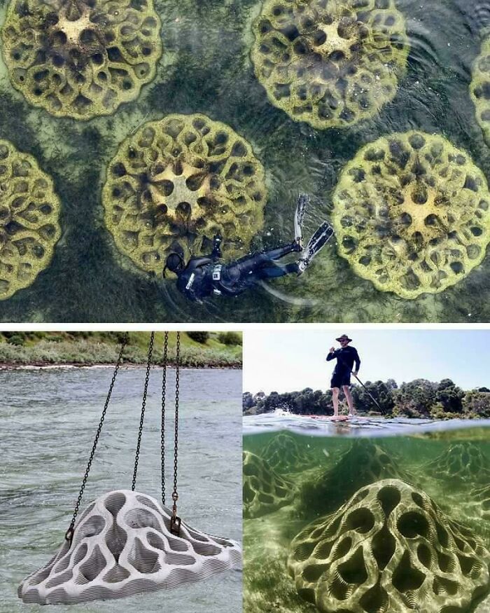 Creepy images show underwater structures with a diver and a paddleboarder, alongside a submerged swing.