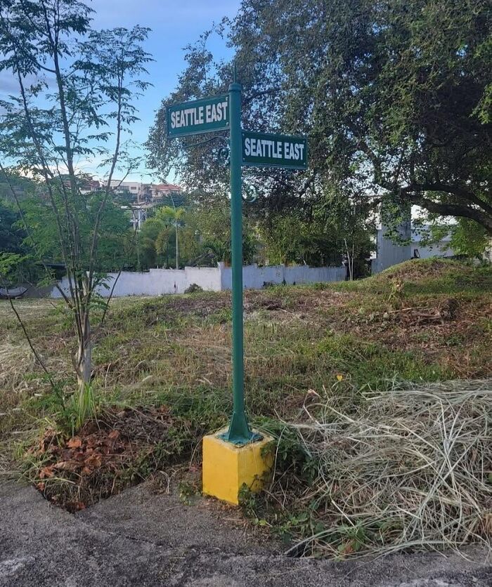 A green street sign post with two signs both pointing in different directions, both reading Seattle East.