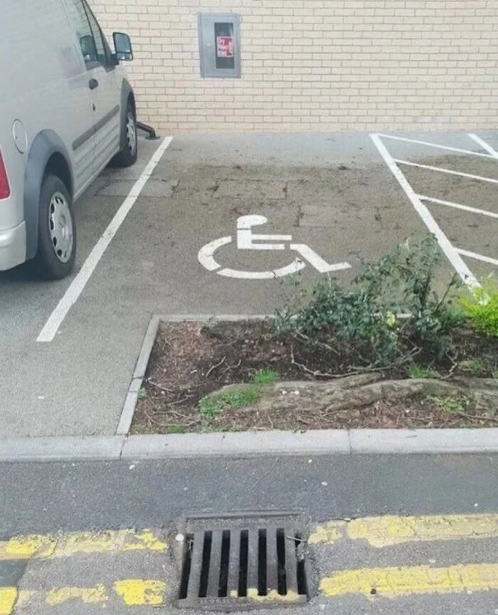 A disabled parking spot with a planter box in the middle, reflecting cultural decline into idiocy.