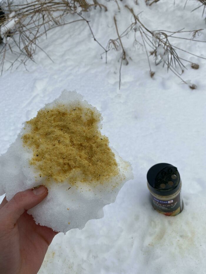 A hand holding a piece of snow with yellow powder on it, with a spice shaker in the background, depicting stupid vegan food.